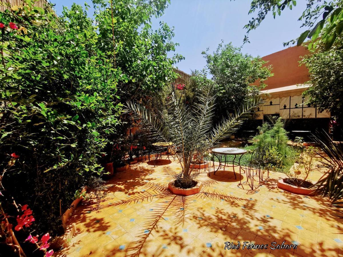 Riad Fennec Sahara Zagora Exteriér fotografie